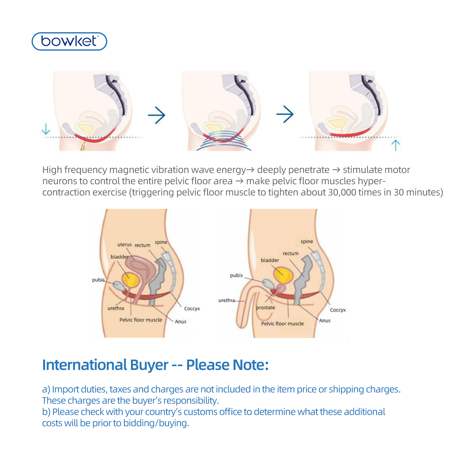 Pelvic Floor Muscle Training Chair Postpartum Recovery Muscle Trainer Pelvic Floor Device(image 10)